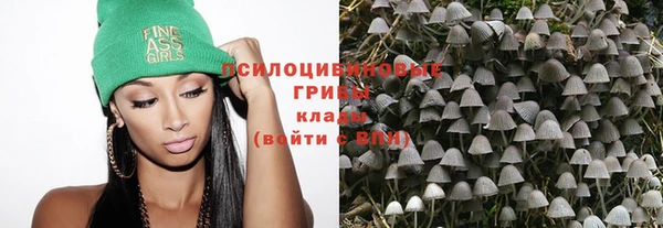 2c-b Абаза